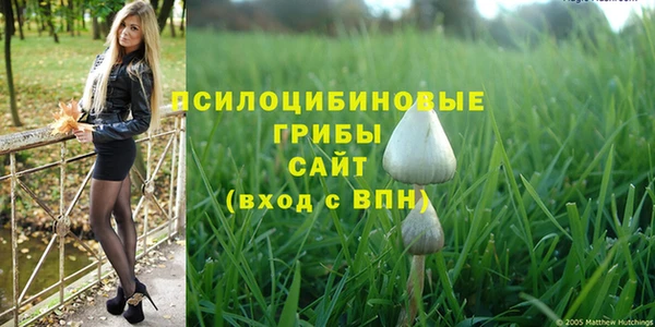 мет Майский